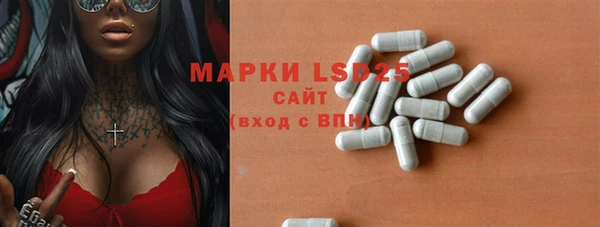 ПСИЛОЦИБИНОВЫЕ ГРИБЫ Сафоново