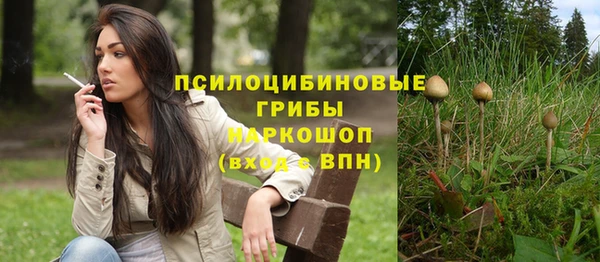 a pvp Рославль