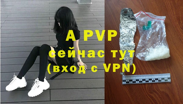mdpv Гатчина