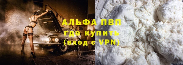 ПСИЛОЦИБИНОВЫЕ ГРИБЫ Корсаков