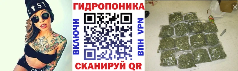 Конопля Amnesia  mega tor  Инта 